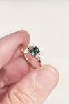 ALICE Ring - Teal Montana Sapphire