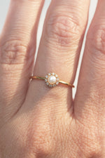 EVA ring