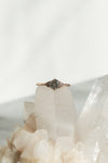 READY TO SHIP // TALIA ring // 0.74ct gray diamond