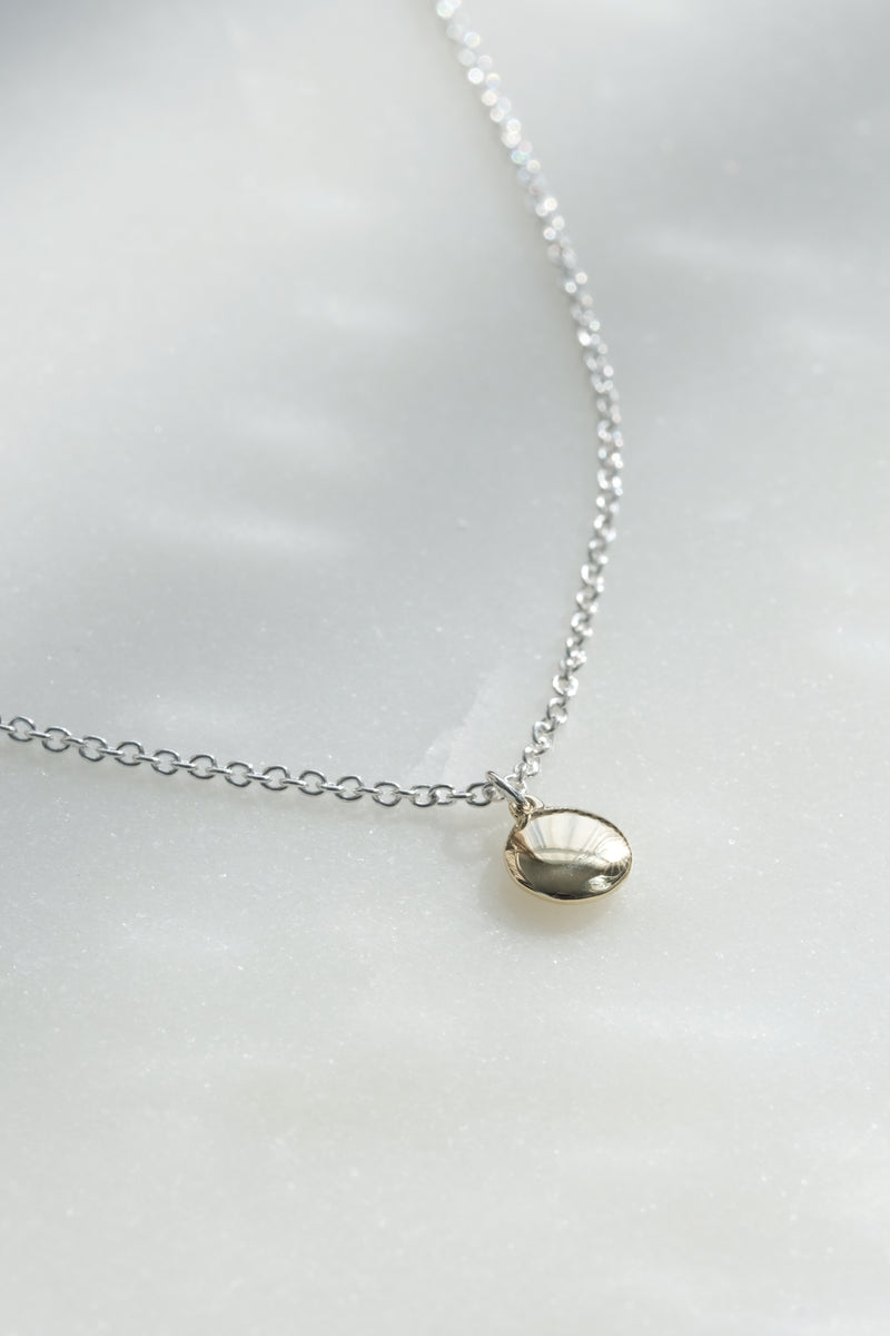 Collier chaine + pastille // 2 tons