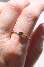Mini daisy ring // 10k gold